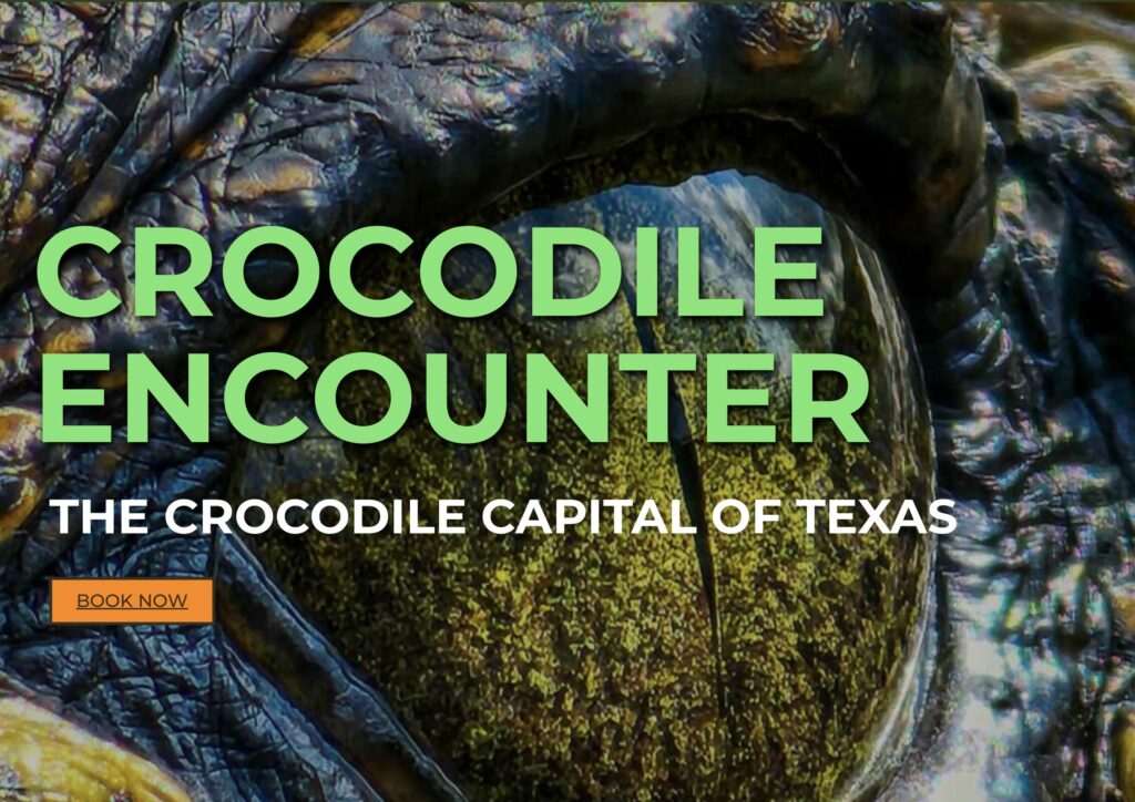 Home - Crocodile Encounter
